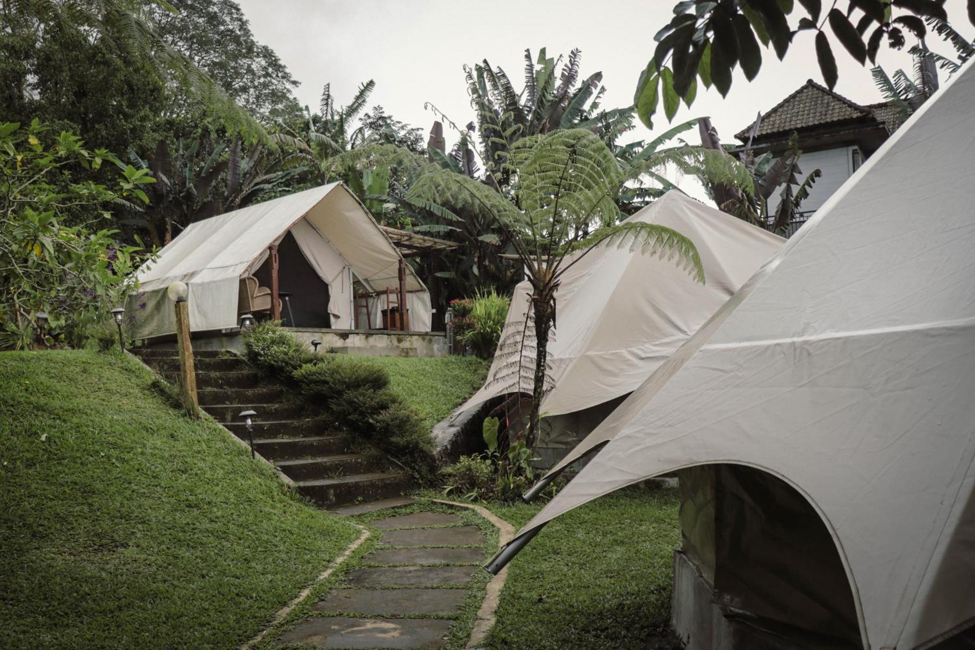 Alamu Eco Lodge Bedugul  Ngoại thất bức ảnh