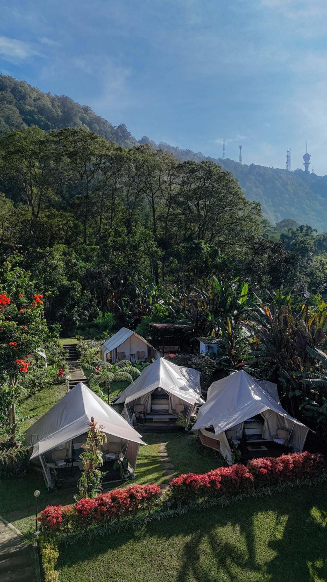 Alamu Eco Lodge Bedugul  Ngoại thất bức ảnh