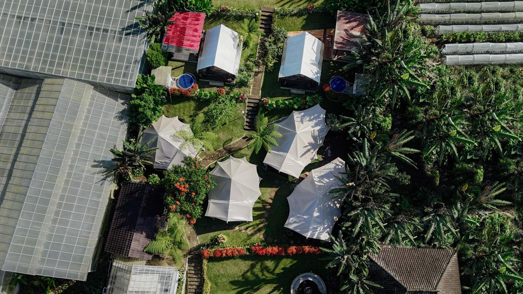 Alamu Eco Lodge Bedugul  Ngoại thất bức ảnh