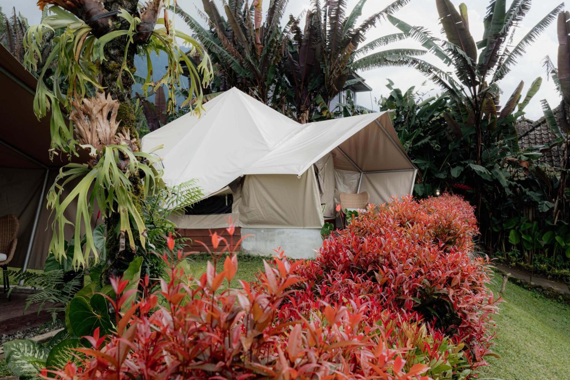 Alamu Eco Lodge Bedugul  Ngoại thất bức ảnh